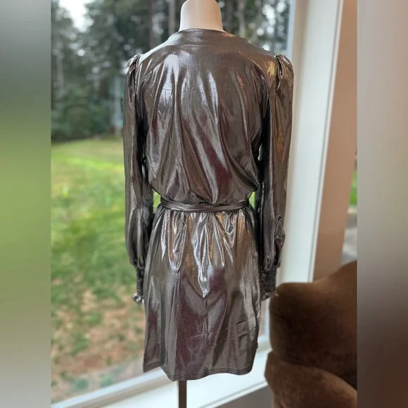 Betsey Johnson Metallic Silver Dress - Picture 3 of 4